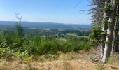 Tocht Stappen Échandelys - Panorama en Livradois-Forez  - Photo 6