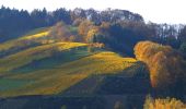 Tour Zu Fuß Lautenbach - Lautenbacher Hexensteig - Photo 10