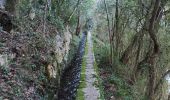 Trail Walking Le Thoronet - Le Thoronet- Canal de Ste Croix - Argens - Photo 14