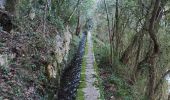 Randonnée Marche Le Thoronet - Le Thoronet- Canal de Ste Croix - Argens - Photo 14