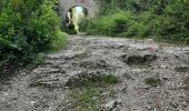 Trail Walking Lent - roro - Photo 2