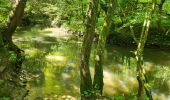 Tocht Stappen Aarlen - Arlon Mesa 250624 - Photo 6