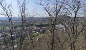 Tour Wandern Herstal - randonnée terril Liège  - Photo 4