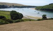 Tocht Te voet South Hams - Avon Estuary Walk - Photo 3