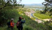 Trail Walking Chanaz - SAVOIE: CHANAZ - SAINT PIERRE DE CURTILLE - JONGIEUX - Photo 8