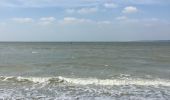 Tocht Stappen Cayeux-sur-Mer - Le hourdel  10/04/2019 baie de somme - Photo 3