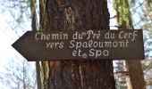 Tocht Stappen Spa - 20221212 - Spaloumont 7 Km - Photo 12