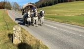 Trail On foot Val-de-Ruz - Mont Dar - Vue des Alpes - Photo 5