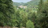 Percorso Marcia Plombières-les-Bains - Plombieres  - Photo 2