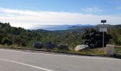 Excursión Ruta Cavalaire-sur-Mer - cavalaire, le dattier par les DFCI - Photo 9