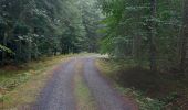 Excursión Senderismo La Chaise-Dieu - Bois de Breuil - Photo 8