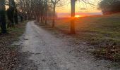 Trail Walking Bollène - Chabrieres  - Photo 1