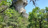 Trail Walking Le Rozier - Corniches de Mejean - Photo 4