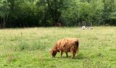 Randonnée Marche Florenville - Réserve naturelle des Prés d’Orval - Photo 5