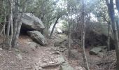 Excursión Senderismo Laroque-des-Albères - Laroque-des-Albères . ballade de 2 fontaines  - Photo 10