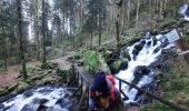 Trail Walking Rochesson - cascade de Battion  - Photo 9