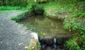 Randonnée A pied Wiesenbach - Rundwanderweg Am Sportplatz 2: Judenwald-Weg - Photo 10