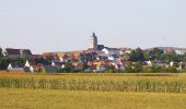 Tocht Te voet Wolfhagen - Rundwanderweg Wolfhagen Granerbergweg W3 - Photo 5