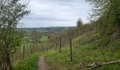 Tour Wandern Trooz - forêt  . st hadelin  . hansez . en gelivaux . foret - Photo 5