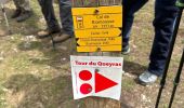 Trail  Ceillac - Ceillac Queyras 11-09-2024 - Photo 1