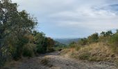 Trail Walking Orcival - GR 441 boucle de La chaîne des puys  - Photo 20