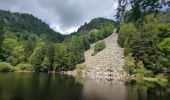 Trail Walking La Bresse - Le Hohneck et ses lacs d'altitude - Photo 13