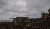 Trail On foot Calheta de Nesquim - Calheta do Nesquim - Photo 4