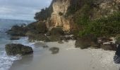Trail Nordic walking Sainte-Anne - Fond grand ma  modette le littoral  - Photo 5
