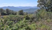 Trail Walking Sainte-Maxime - circuit panoramique Ste Maxime - Photo 16