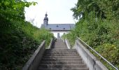 Excursión A pie Hofheim am Taunus - Historischer Rundweg - Photo 1