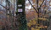 Trail Walking Bouxières-aux-Dames - Bouxiére aux Dames Any et Edith 10kms - Photo 3