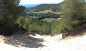 Excursión Senderismo Saint-Cyr-sur-Mer - ,St Cyr la dune et calanque d'alon - Photo 5