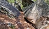 Tocht Stappen Fontainebleau - Fontainebleau sentier Denecourt 7-8 8-8 - Photo 2