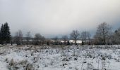 Trail Walking Theux - premières neige 2025 à Bronrome  - Photo 14