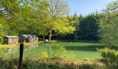Trail Walking Paliseul - Maissin, pvl juillet 2025 - Photo 17