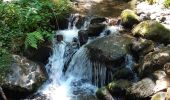 Randonnée Marche Saint-Victor-la-Rivière - LA FORET DE COURBANGES - Photo 14