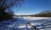 Tocht Stappen Gerpinnes - Balade à Gerpinnes - Photo 2