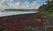 Percorso Marcia Unknown - Plage de Grande Anse Le Lorrain - Photo 13
