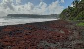 Tocht Stappen Unknown - Plage de Grande Anse Le Lorrain - Photo 13