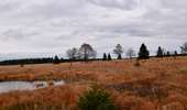 Trail Walking Baelen - 20231030 - Drossart 7.8 Km - Photo 13