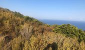 Excursión Senderismo Belgodère - Boucle Lozari - plage ostreconi : désert dès agriates  - Photo 4