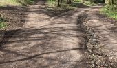 Trail Walking Olne - Boucle de Olne 13 Km - Photo 4