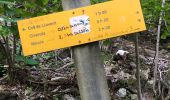 Trail Walking Casteil - 20190904 Casteil-Llevant-Moura- cheval mort-col de Jou - Photo 10