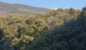 Tocht Stappen Bédoin - Beboin la combe de Curnier - Photo 9