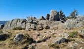 Trail Walking Metzeral - Petit-Ballon via Col du Hilsenfirst - Photo 17