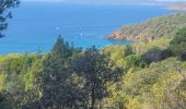 Trail Walking Cavalaire-sur-Mer - sortie de route - Photo 3