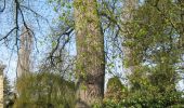 Tocht Te voet Tongeren - Rond de bronnen van de Mombeek - Photo 7