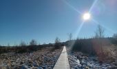 Tocht Stappen Waimes - mont rigi - botrange via fagne wallonne retour via fagne polleur  - Photo 17