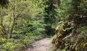 Trail Walking Ceyrat - GORGES DE CEYRAT EN BOUCLE PAR BERZET - Photo 6