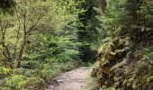 Randonnée Marche Ceyrat - GORGES DE CEYRAT EN BOUCLE PAR BERZET - Photo 6